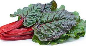 Swiss Chard / rhurbarb