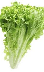 lettuce